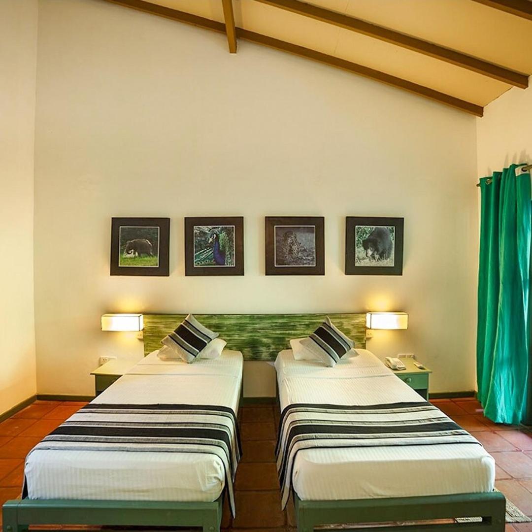 เอเลแฟ้นท์รีชโฮเต็ล–ยาล่า Hotel ยาลา ภายนอก รูปภาพ